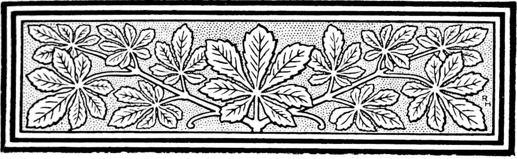Decorative line drawing