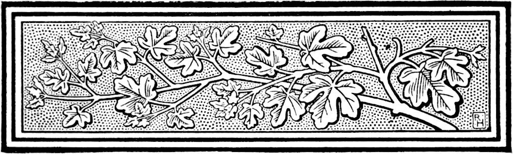 Decorative line drawing