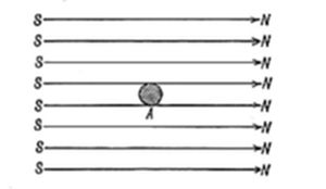 A simple
diagram showing parallel horizontal arrows labeled S on the left and N
on the right, with a small shaded circle labeled A positioned along the
central line.