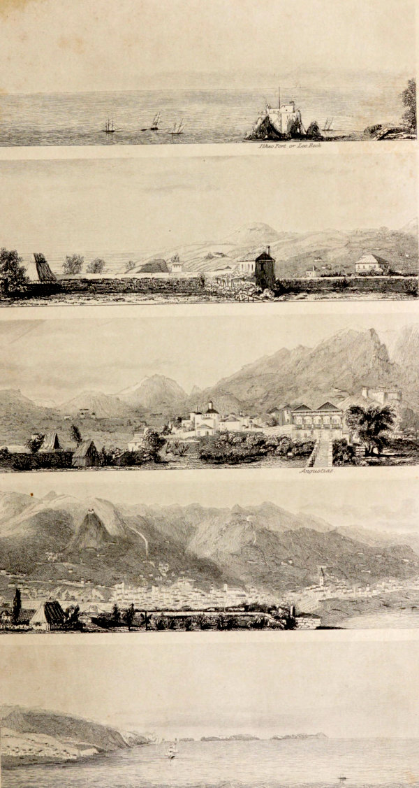 Five landscape drawings of Madeira