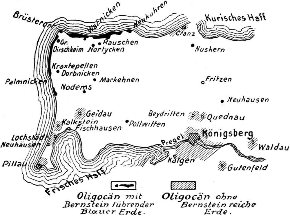 Karte der Region um Königsberg
  mit den Lanschaften aus dem Oligocän mit und ohne Bernstein