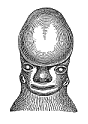 Fig.316. Face of a human
embryo, eight weeks old.