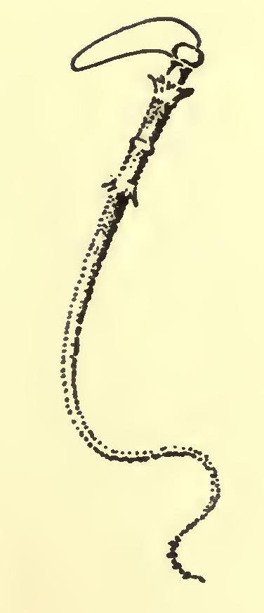 9142 