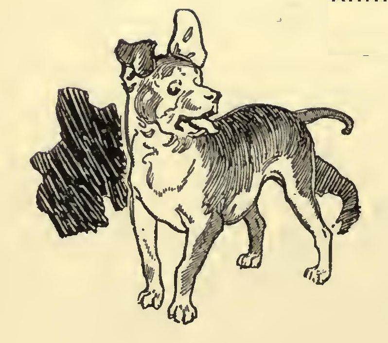 9162 